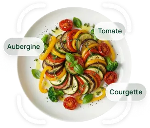 A plate of ratatouille being recognised by the app